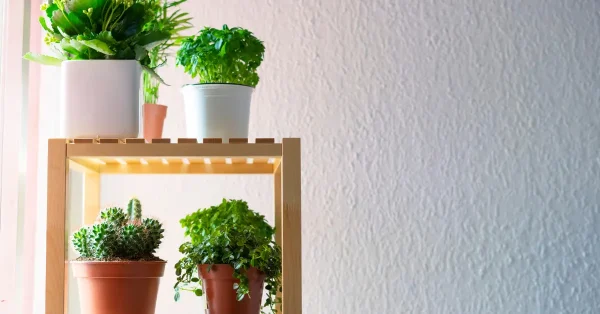 diferentes vasos e suportes pelo jardim 600x314 1