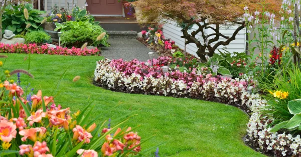 plantas coloridas para decorar o jardim 600x314 1